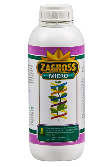 Micro Zagross